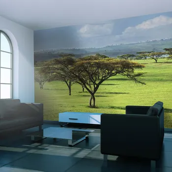 

Wall mural-trees African-350x270 cm