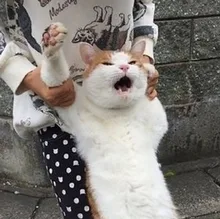 Clip-Kit Clamp Work-Bar Woodworking Quick-Ratchet Heavy-Duty 4inch 30x100mm