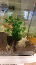Aquarium Decorative Grass-Plant Fish-Tank Simulation PVC Environmental-Protection-Materials