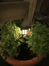 Solar-Pathway-Lights Solar-Lamp Outdoor Waterproof for Driveway/walkway 2/4/6/8pcs Led