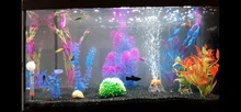 Ornaments Landscape-Decoration Aquarium Fish-Tank Artificial-Aquatic-Plant Underwater