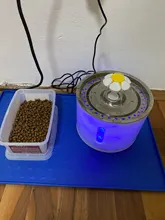 Fuente de agua para perros o gatos, dispensador eléctrico-automático, silencioso, y con luz LED, alimentador USB, capacidad 2,4 L