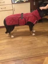 Jackets Dog-Coats Outdoor Winter Pet-Dog Dogs Large Medium for Warm Clothing Kurtka Ubranka