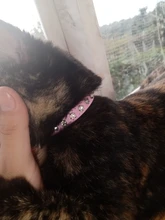 Collar brillante colorido con diamantes de imitación para mascotas, correa de cuero para el cuello, seguro para gatos y perros, accesorios suaves para mascotas, XS/S