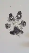 Ink-Pads-Kits Souvenir Inkless Handprint Newborn 0-6-Months Skin Non-Toxic Safe for Pet-Dog