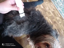 Pets-Clippers Hair-Trimmer Foot-Cutter Pet-Grooming-Kit Nail-Grinder Baorun Rechargeable