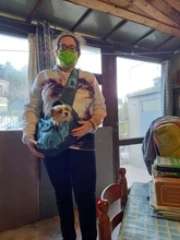 Handbag Sling Pet-Puppy-Carrier-Bag Dog-Shoulder-Bag Travel Tote-Pouch Outdoor Comfort