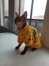 Cartoon Cat Hoodie Sweater Autumn Winter Pet Cat Clothes for Cats Katten Kedi Pullovers