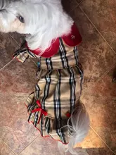 Dress Costume Dog-Puppy-Clothes PET PETCIRCLE Small Dog Classic Check Fit Pet-Cat All-Seasons