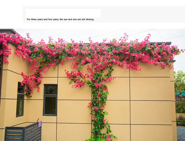 Ghirlanda A Forma Di Cuore Con Rose Di Seta Artificiali | Diametro 30 Cm (11,8 Pollici) Con Eucalipto | Per Porta, Parete E San Valentino - 2