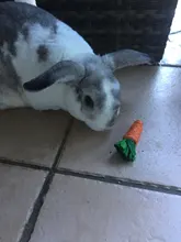 3Pcs Carrot Shaped Rabbit Hamster Chew Bite Toys Guinea Pig Tooth Cleaning Toys