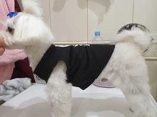 Puppy Shirt Teacup Dog-Vest Yorkie-Bulldog Dogs Pawstrip Summer Pet Small for Teddy