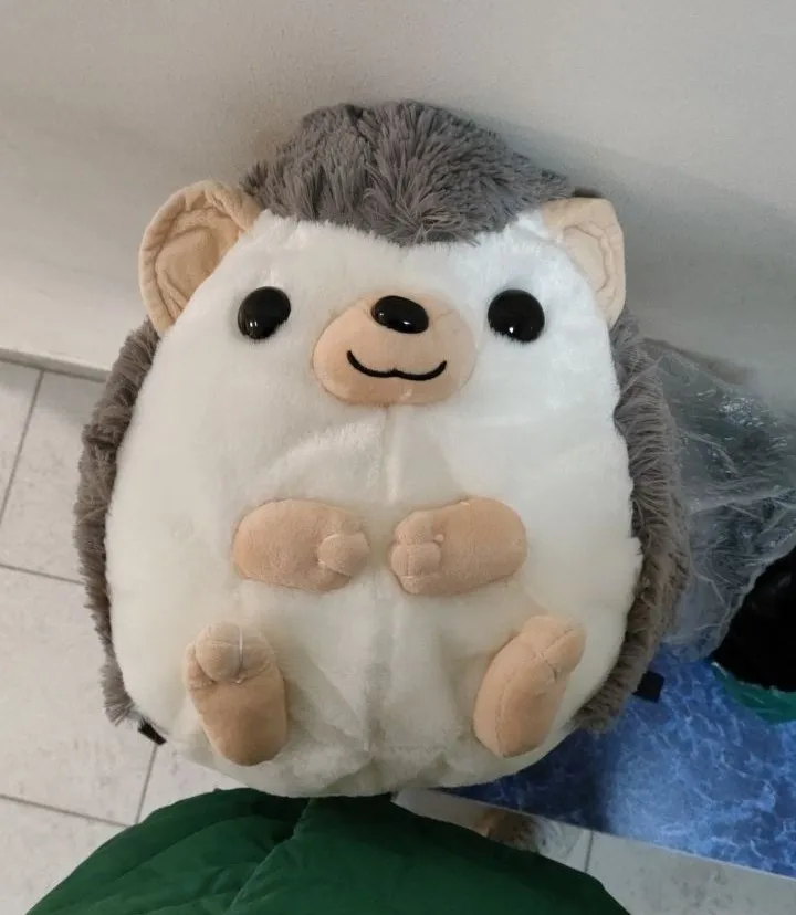 hedgehog teddy big