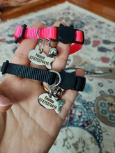 Collar de seguridad para gato, Collar de gatito personalizado de liberación rápida, Collar para gatos con campana para cachorro gatito