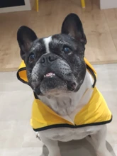Jumpsuit Hoodies Pet-Coat Rain-Jacket Reflective French-Bulldog-S-2xl Waterproof Medium
