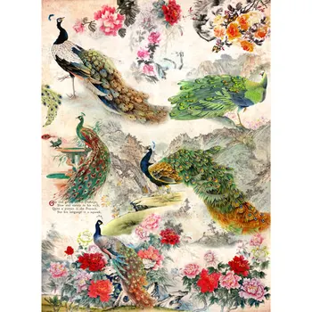 

Rice paper for Decoupage "" craft Premier "", A3, 25 g/m, "Peacock flowers" "cp06308