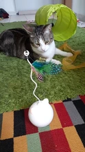 Toy Cat-Toy Ball-Rolling Productos Interactive Electric Colorful Automatic Para Led Ear