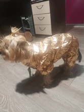Ropa de abrigo para Perros Bulldog Francés, Ropa de cachorro, Chihuahua, yorkie, abrigo de perrito mascota, chaqueta, perros, mascotas