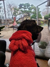 Fleece Pet Dog Clothes Winter Warm Dog Coat Jacket for Dogs Hoodie Soft French Bulldog