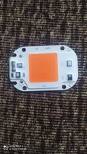 Led-Cob-Chip Flower-Growth-Lighting Indoor-Plant Full-Spectrum 220V Seedling 110V 