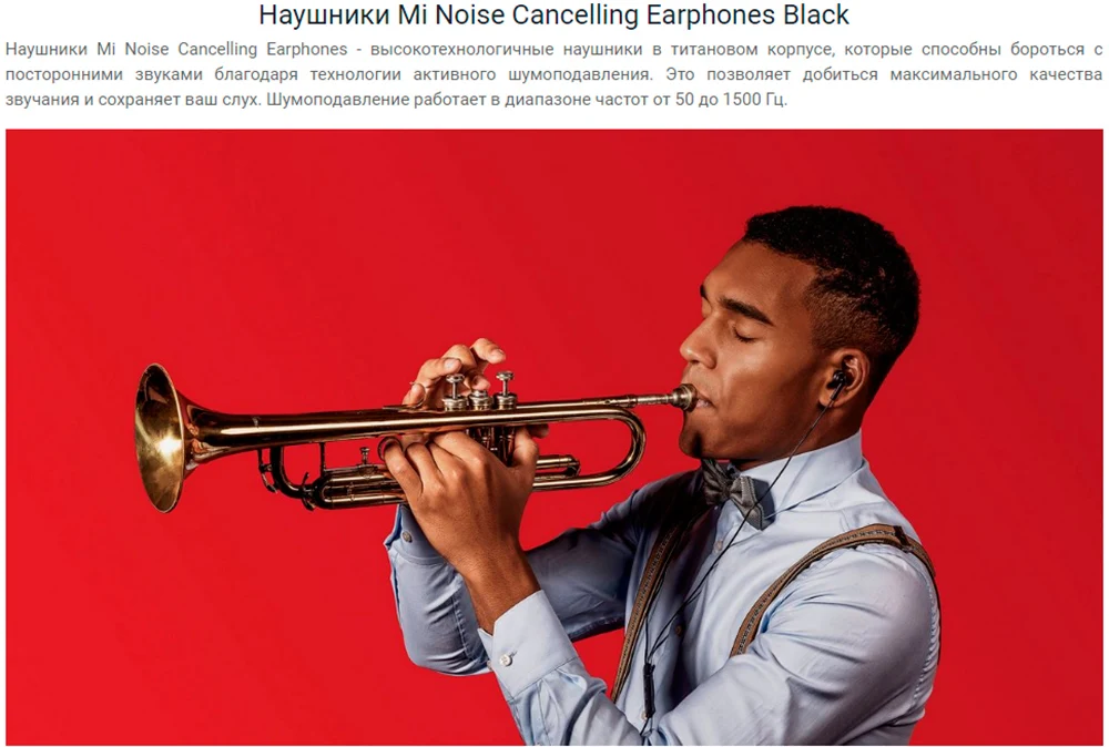 Наушники Xiaomi Mi Noise Cancelling Earphones, гарантия РФ, быстрая