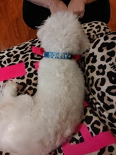 Personalized Dog Collar Leather Rhinestone Bling Charms Custom Pet Dogs Cat Name