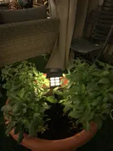 Solar-Pathway-Lights Solar-Lamp Outdoor Waterproof for Driveway/walkway 2/4/6/8pcs Led