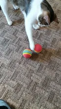 3pcs/Lot Pet Ball Toy Colorful Safety Toys for Dog Cat Play Good Company Kitten Puppy