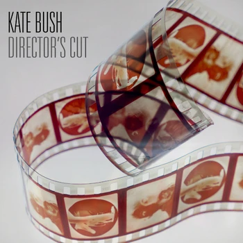 

Kate Bush / Director's Cut (2LP)