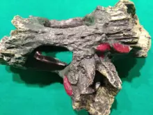 Aquarium-Decoration Fish-Tank Tree House-Hole Resin for Mountain-View