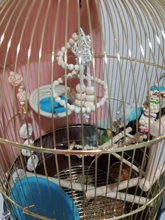 8Pcs/Set Bird Parrot Toys Wooden Hanging Swing Hammock Climbing Ladders Perches