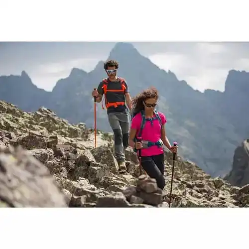 decathlon walking stick