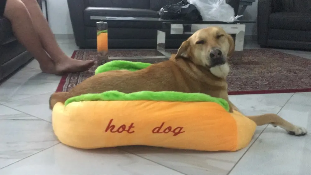 Hot Dog Dog Bed Pet Lounger Life Changing Products