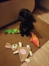 Anillo de papel de perro de juguete con chirrido para perros pequeños Chihuahua Limpieza de dientes de perro juguetes para mascotas accesorios para perros zabawki dla psa