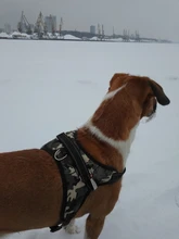 Perro suministros nailon mascota perros arnés Collar de Pet de alta calidad productos harnais pour chie para grandes Grande Mediano pequeño arnés de perro