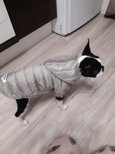 Small Dog Clothes Winter Warm Pet Dogs Coat Jacket Puppy Cat Outdoor Clothing Hoodies