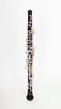 

Jp181c goboy C, conservative system, John Packer