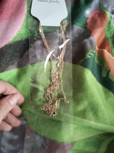 Nueva moda Multi-capa estrella collar con colgante multicapa clavícula collar de las mujeres collar Statement de oro al por mayor