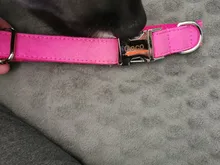 Pet-Collar Leads Velour Puppy Cat-Name Adjustable Personalized Id-Tag Learsh-Set