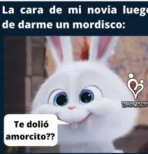 Mosquetón con Clip D, cierre de resorte, llavero de gancho para acampada, mosquetón pequeño de bloqueo