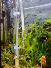 Acrylic Shrimp Feeding Tray Fish Food Feeder Aquarium Fish Tank Feeding Tube