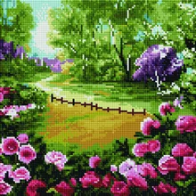 Алмазная мозаика EF 971 Кусты роз 30*40