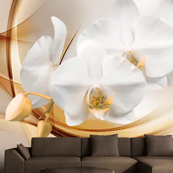 

Wall mural-orchid flower-350x245 cm