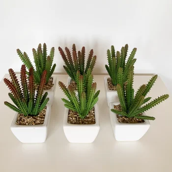 

Pack 6 cactus cereus assorted artificial flower pot ceramic