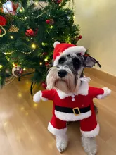Christmas Pet Dog Cat Costumes Funny Santa Claus Costume For Dogs Cats Winter Warm Dog