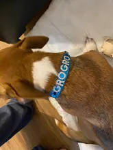 Collar personalizado con hebilla para perros y gatos, Collar personalizado con letras y diamantes de imitación para perros pequeños y medianos