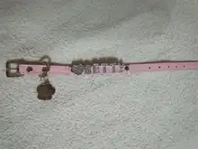 Cat-Collar Cat-Accessories Puppy Rhinestone Name Custom Small Chihuahua Yorkshire-Free