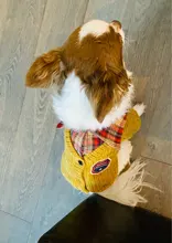 Sweater Coat Pets Chihuahua Puppy Gentle Para Medium Dog Knitted Small for Warm Ropa