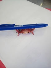 Japoneses nuevos creativos lindo cangrejo pluma titular halterofilia cangrejos Penholder estante soporte de almacenamiento regalo papelería