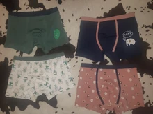 Boys Underwear Panties Briefs Shorts Boxer Dinosaur-Design Kids Cotton Children's Lot